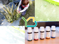 �֐����A�u���b�W