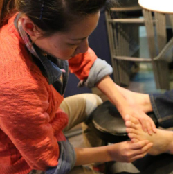 �K���������������݉�����